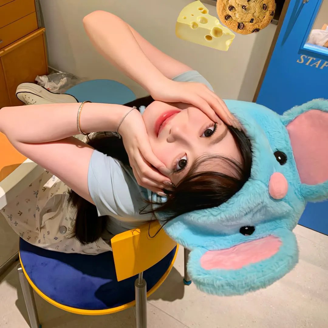 你好喵室友